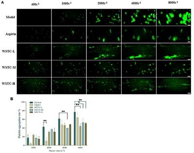 Water-soluble tomato concentrate modulates shear-induced platelet aggregation and blood flow in vitro and in vivo